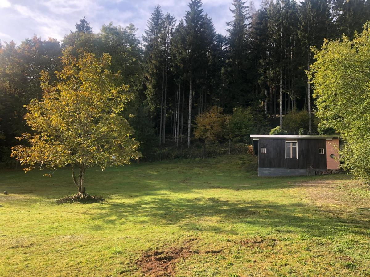 Le Clara Villa Saulxures Buitenkant foto