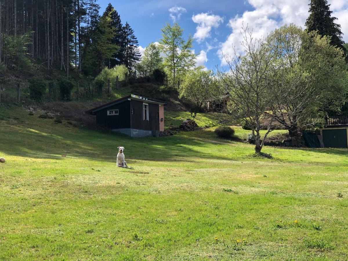 Le Clara Villa Saulxures Buitenkant foto