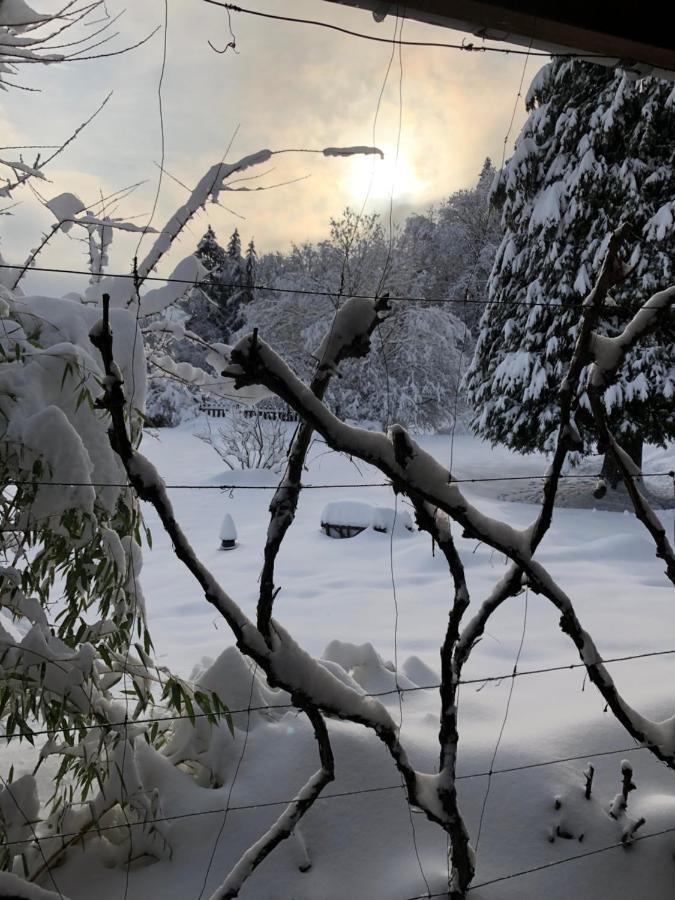 Le Clara Villa Saulxures Buitenkant foto