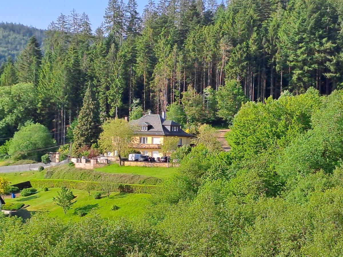 Le Clara Villa Saulxures Buitenkant foto